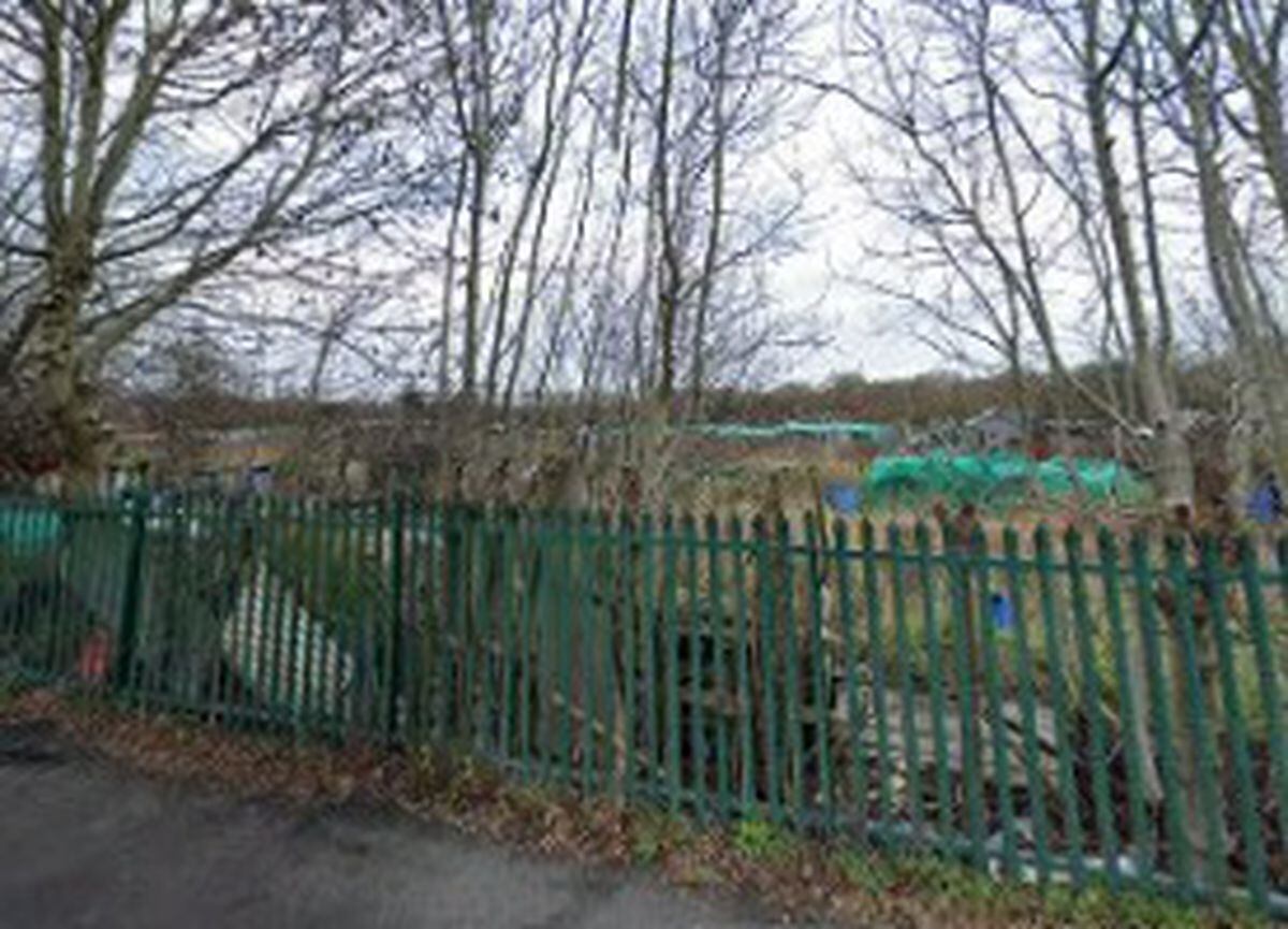 The allotments on Dudley Road. PICTURE: Google Streetview