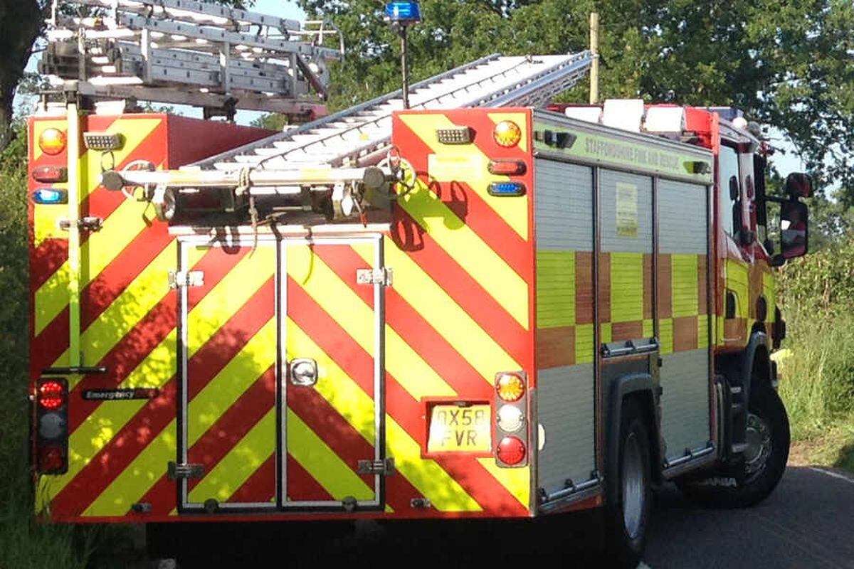 Cat killed and two dogs rescued in Brownhills fire