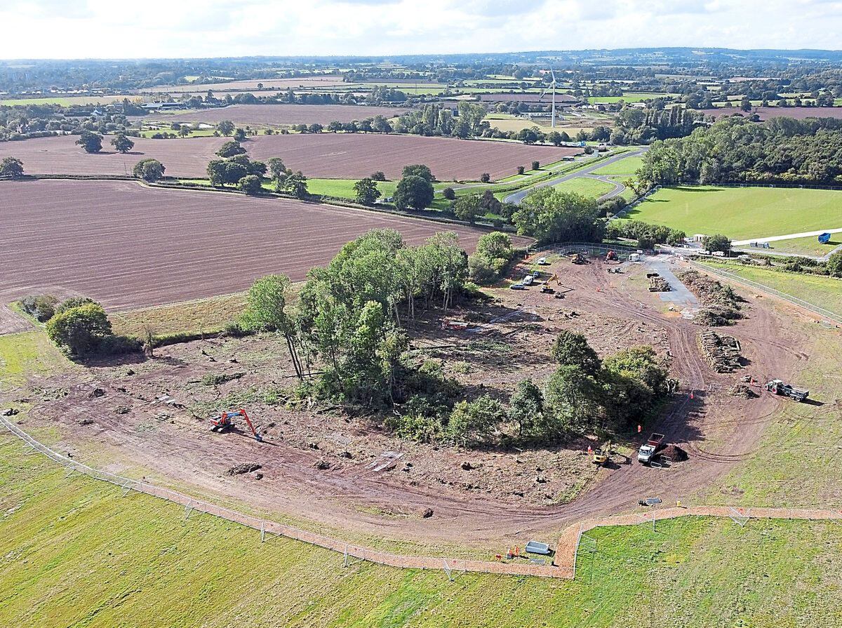 Trees have been felled at Little Lyntus wood, Lichfield, to make way for HS2, sparking protests