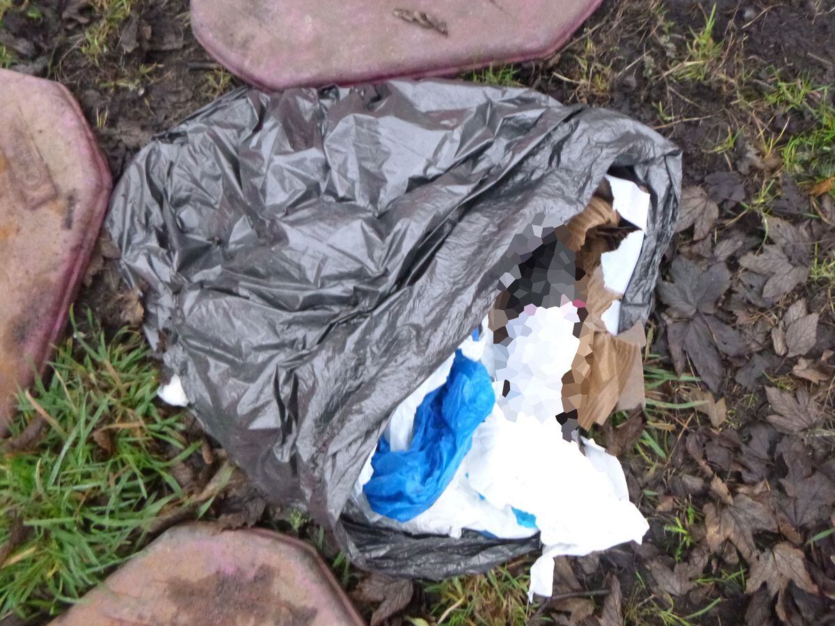 The puppies were found in a bin liner in Tipton. We have pixellated the image due to its distressing nature