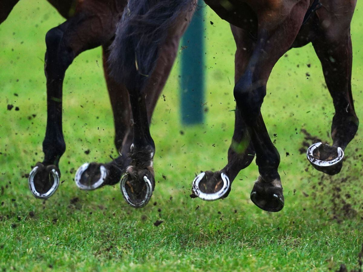 A general view of hooves kicking up mud (David Davies/PA)