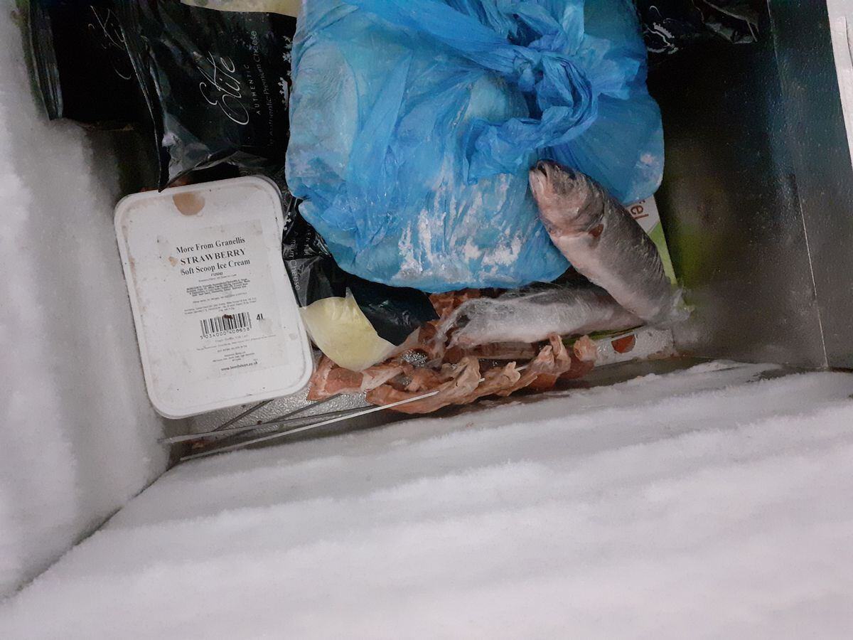 Frozen individual fish stored next to ice cream. Photo: Birmingham City Council