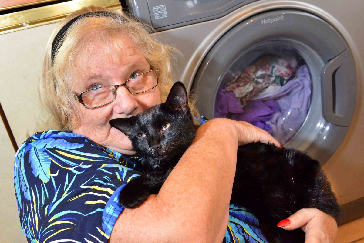 Mrs Sutton, Tiggy, and the washing machine