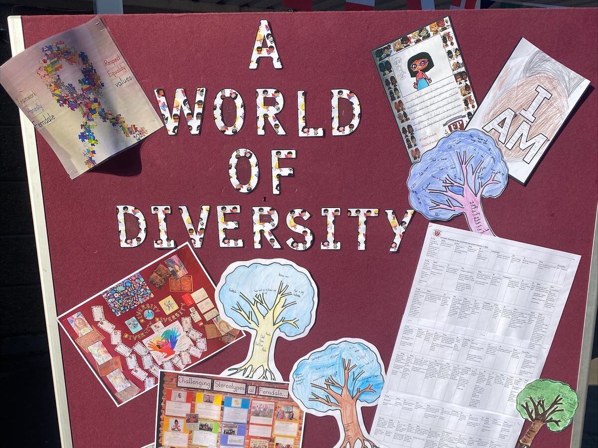 Ferndale Primary School's Diversity Festival