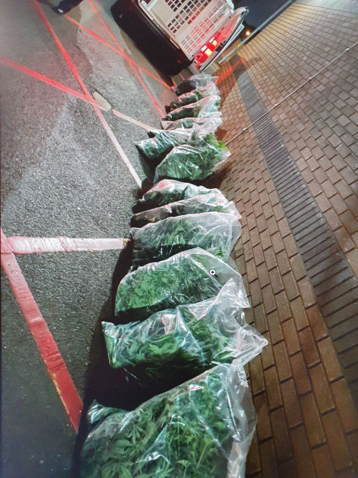 Police seized bags of the drug