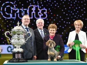 Maisie the Wire-haired Dachshund winner of Best in Show 2020 at the Birmingham National with her owner Kim McCalmont (centre right) and presenter Peter Purvis (centre left) at the Exhibition Centre (NEC) during the Crufts Dog Show