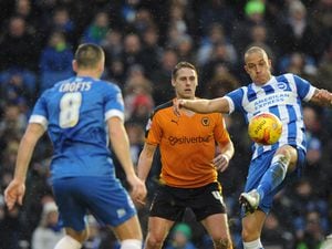 Bobby Zamora of Brighton & Hove Albion and Dave Edwards of Wolverhampton Wanderers.