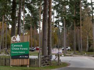 Cannock Chase Forest