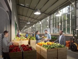 An artist's impression of how the interior of the new wholesale market building in Hickman Avenue, Wolverhampton, will look. Image: Halliday Meecham Architects
