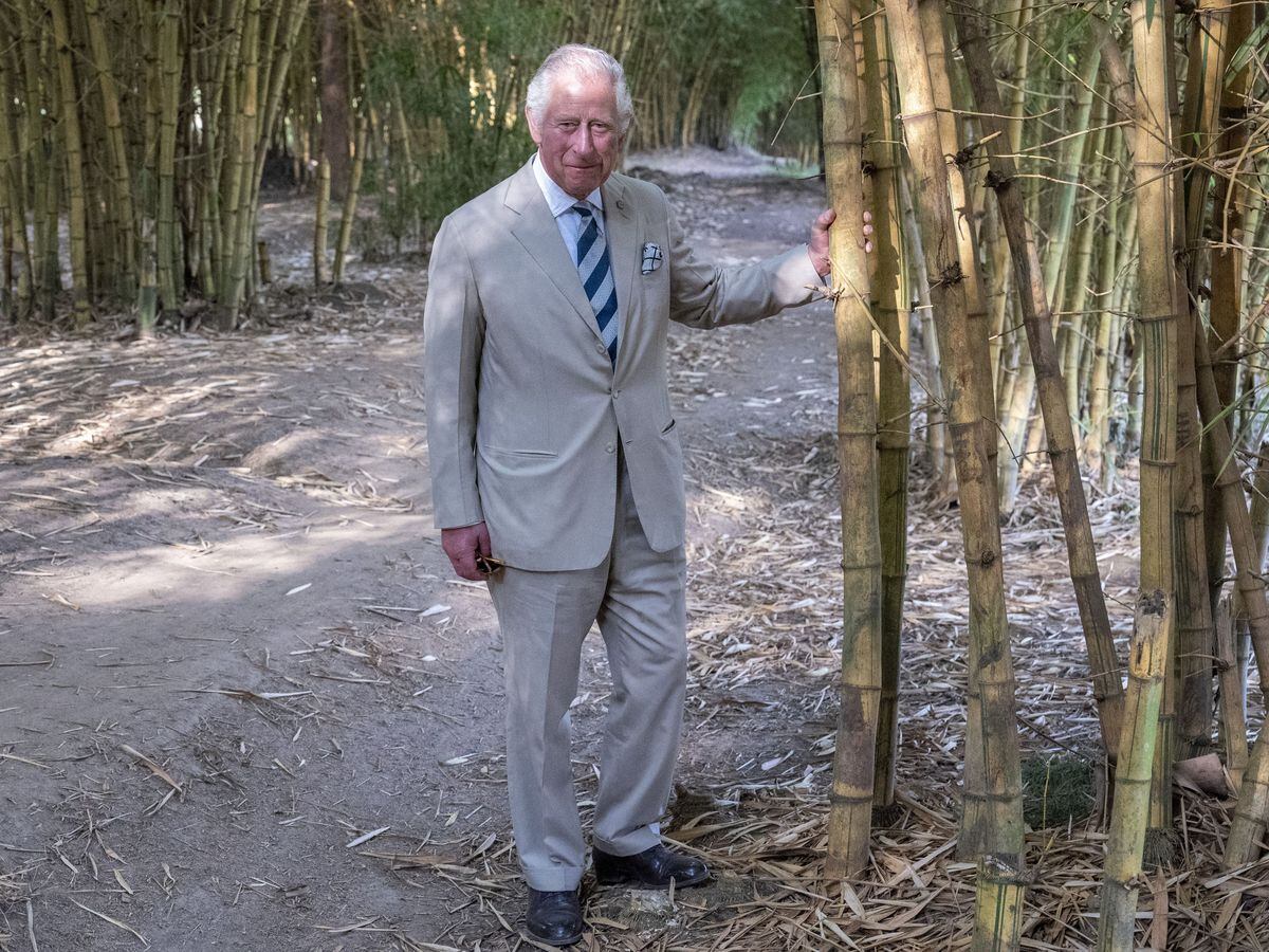 The Prince of Wales during his visit to an agroforestry site in Kigali, as part of his visit to Rwanda
