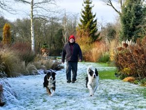 Winter Open garden event at John's Garden, based at Ashwood Nurseries, Kinver..Owner John Massey with his dogs Poppy and Willow...