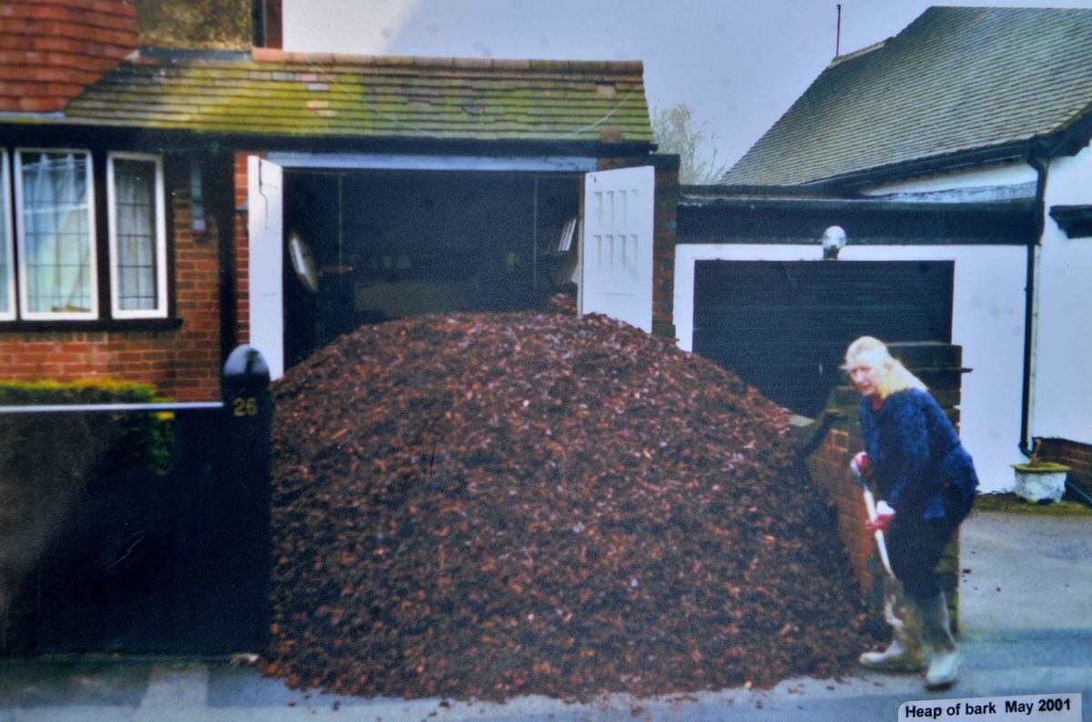 Marie shovelling bark in 2001