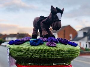 The purple poppy topper was put on a post box in Sedgley on Wednesday, October 27, but was found to be missing a day later