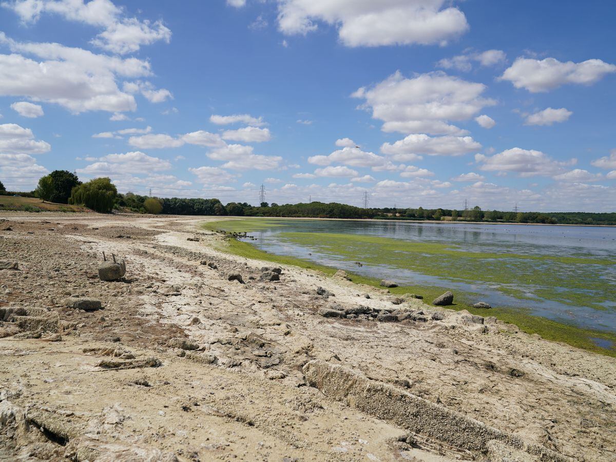 Dry earth on the banks of Grafham Water near Huntingdon in Cambridgeshire