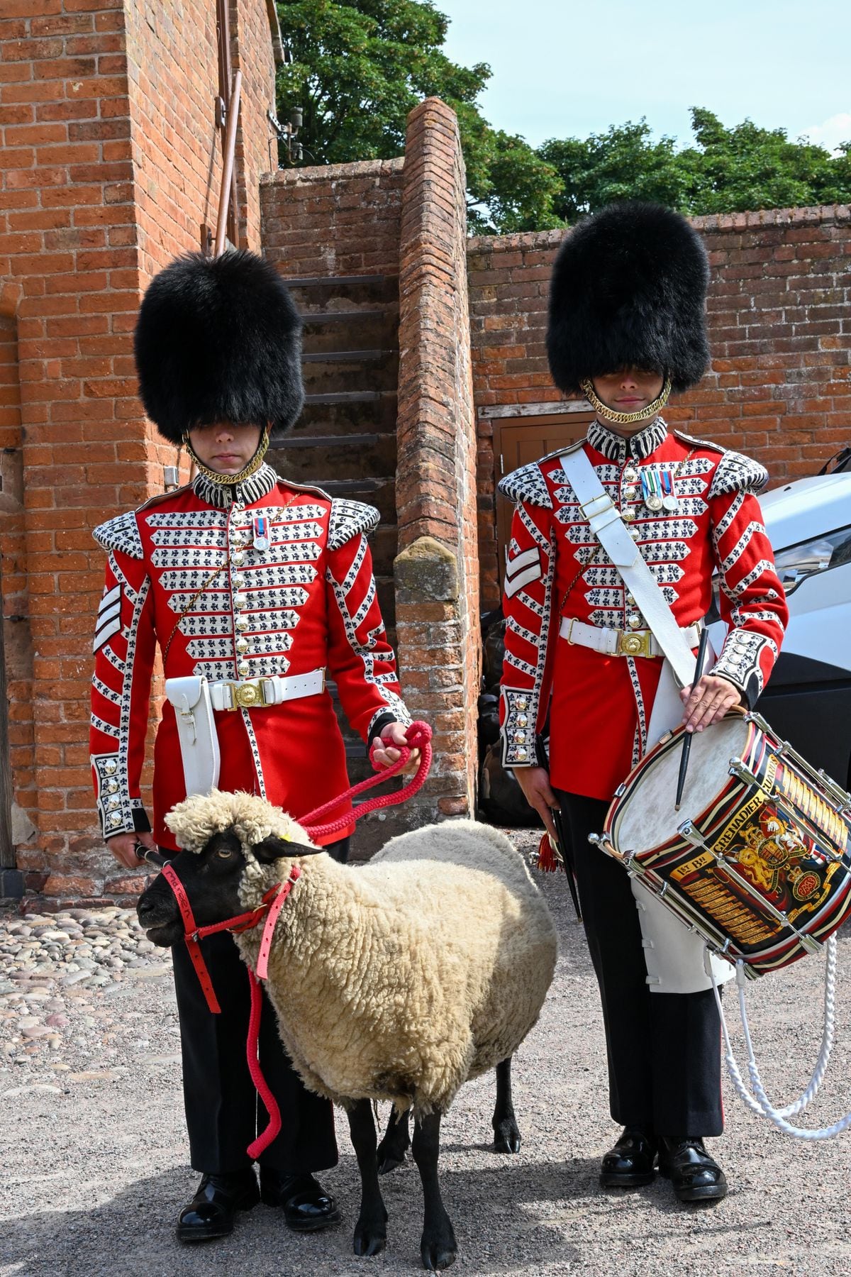 Guards with Maureen the sheep