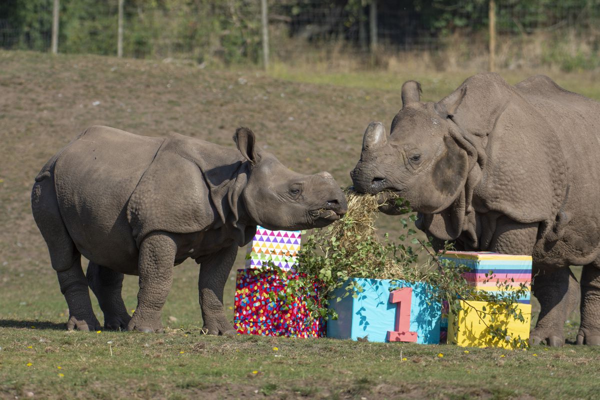 Inesh and his mother Seto with the presents - filled with their favourite treats