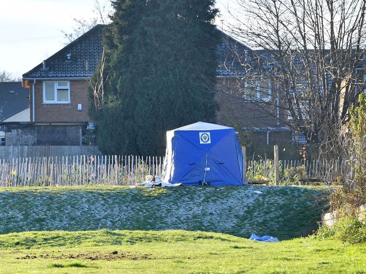 A police tent in parkland at the area where the young man, named locally as Jack Lowe, was stabbed