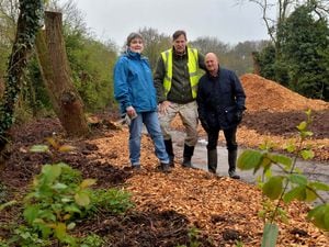 Friends of Alder Coppice restoring the 500-year-old woodland: Lynn Williams, Simon Biggs and Bob Griffiths