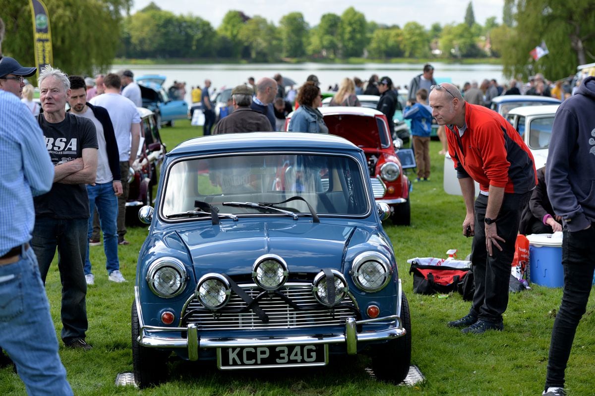 Hundreds of classic Minis put on display at Himley Hall in pictures