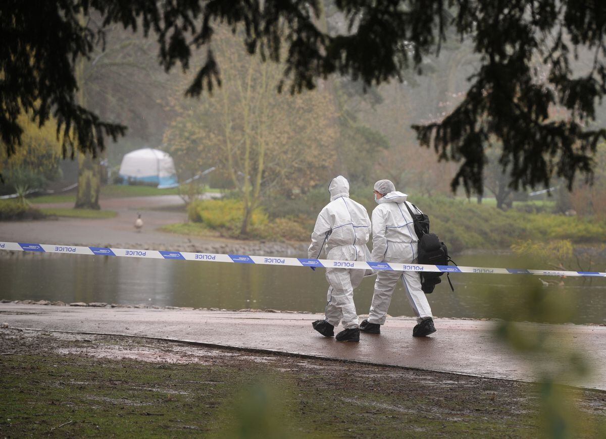 Forensic teams inside the park