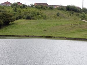 The Middle Pool at Fens Pool Nature Reserve in Pensnett 