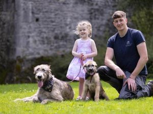 Irish wolfhounds settle into their new home at Co Clare castle