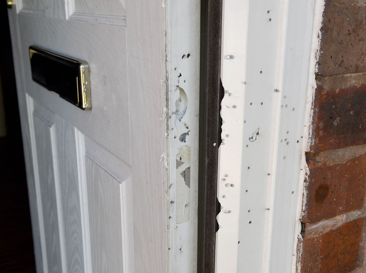 Pellet holes on the door after the shotgun was fired