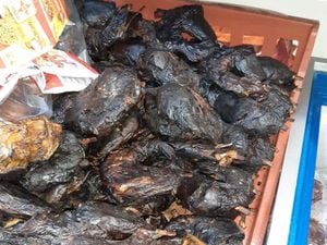 The images from Walsall Trading Standards Savvy Shopper show dried fish and chicken