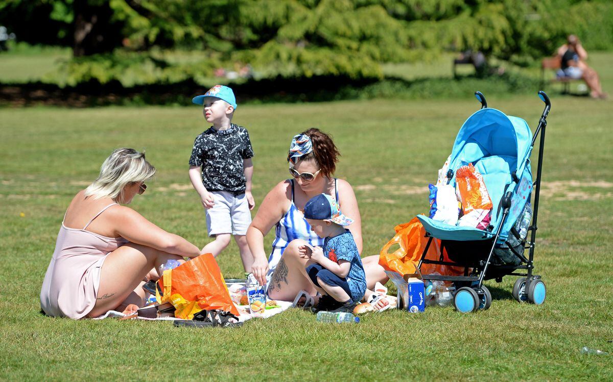 People enjoy the hot weather at Himley Park