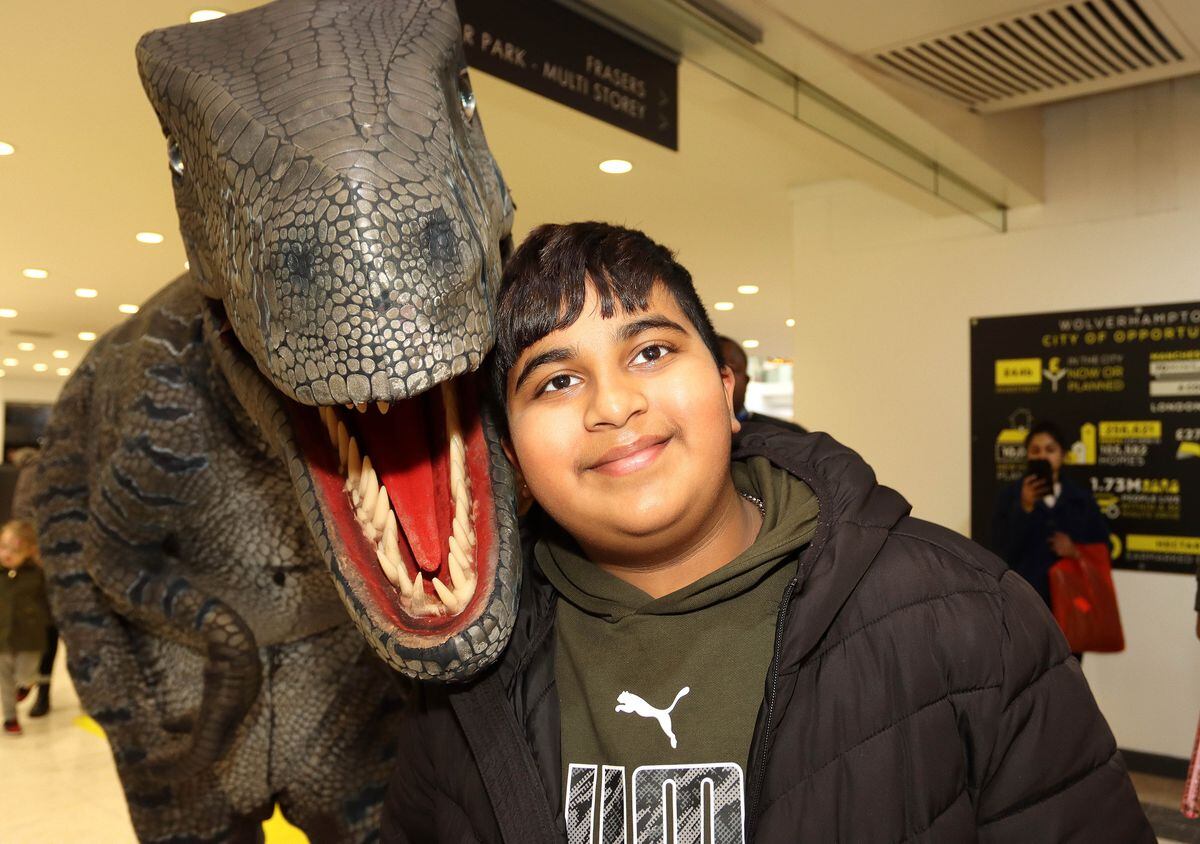 Arman Dehor, 10, not fazed by a dinosaur from Raptors UK