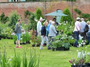 Previous plant fairs at Sugnall Walled Garden have proved popular