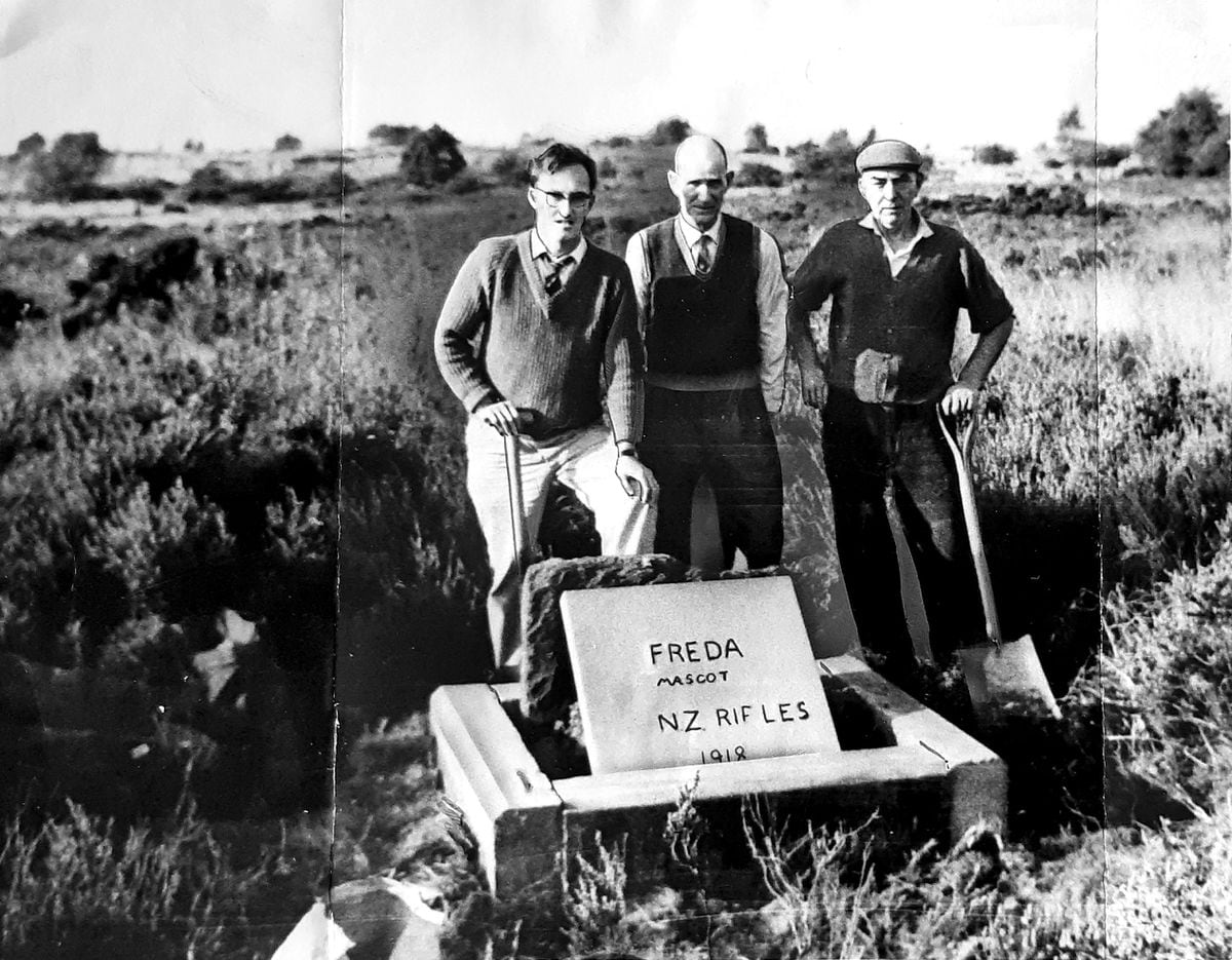 The grave of Freda, a dog mascot in the First World War, is buried on the Chase near Brocton Quarry. Here is is pictured in February, 1965.
