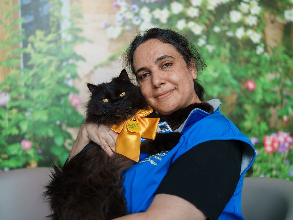 Hospital therapy cat and group rescuing animals in Ukraine honoured for work  | Express & Star
