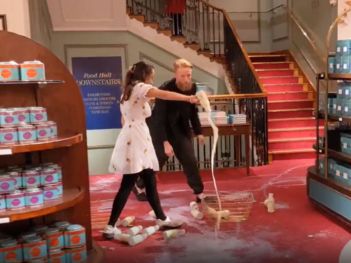 Animal Rebellion supporters pour out milk in Fortnum & Mason