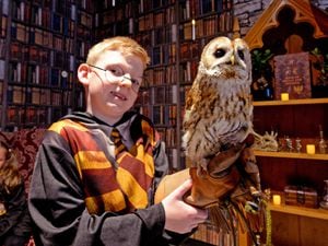 Customer and Potter fan Jacob Williams, aged 7, from Wednesbury, meets Aries the owl
