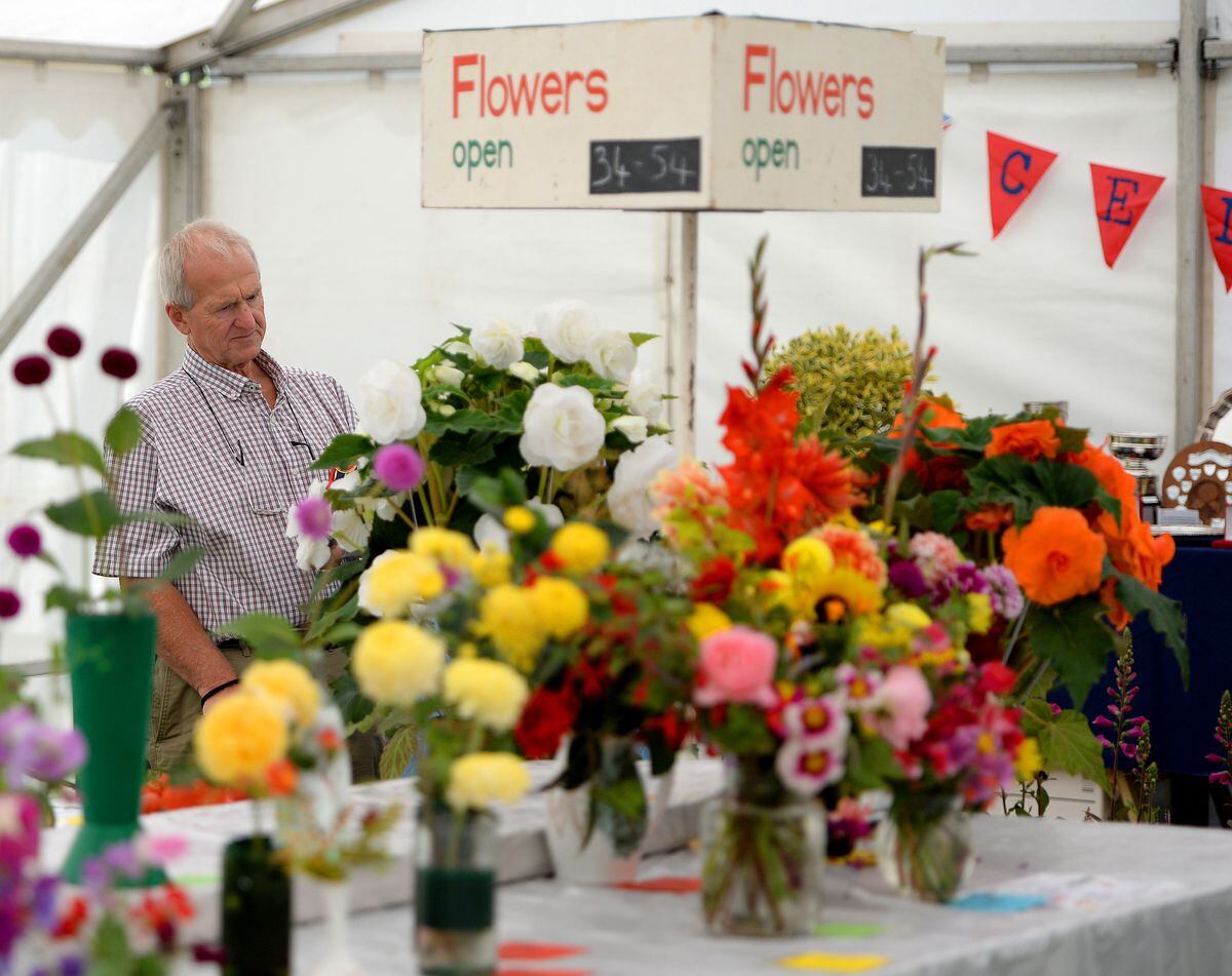 The Eccleshall Show. Pictured: Judge Paul Harrison looks at the flowers