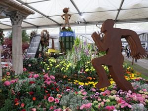 The council’s Chelsea Flower Show gold medal-winning display will go on display at Birmingham Cathedral. Photo: Luke Walker