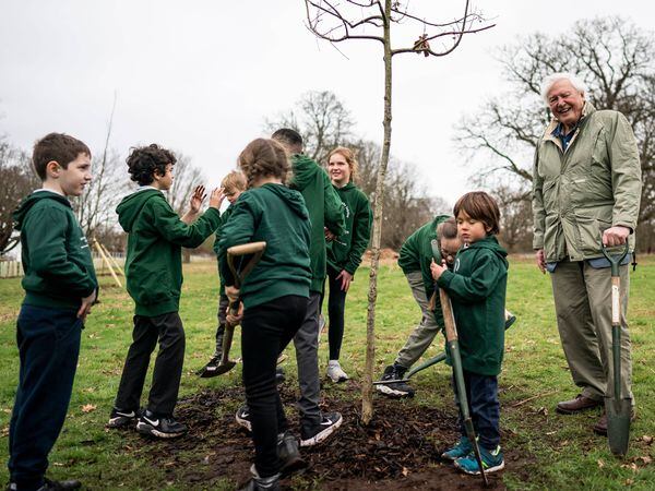 Sir David Attenborough plants a tree, in honour of Queen Elizabeth II, for the Queen's Green Canopy in Richmond Park with schoolchildren