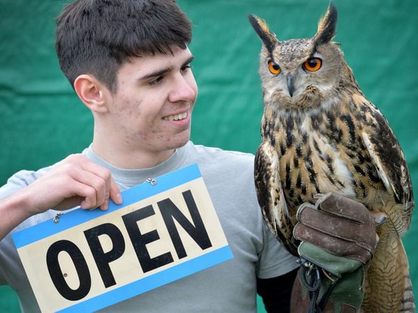 Volunteer Brandon Clark with Ziggy the Eurasian Eagle Owl happy to welcome visitors back