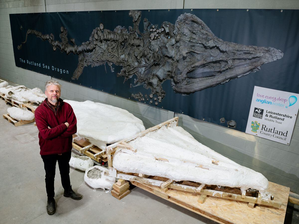 Palaeontologist Nigel Larkin will be working on the 'Sea Dragon' for the best part of two years