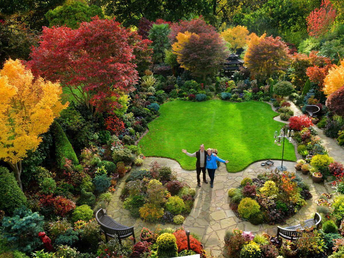 Tony and Marie Newton, and their garden, 'Four Seasons', in Walsall  