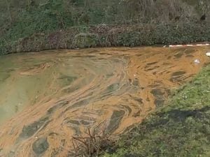 Brown sludge deemed safe by Canal River Trust.