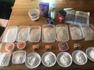 The ration pack contains chickpeas, rice and beans and 170g veg and 120g protein for a week (Image by Katryn Leclézio)