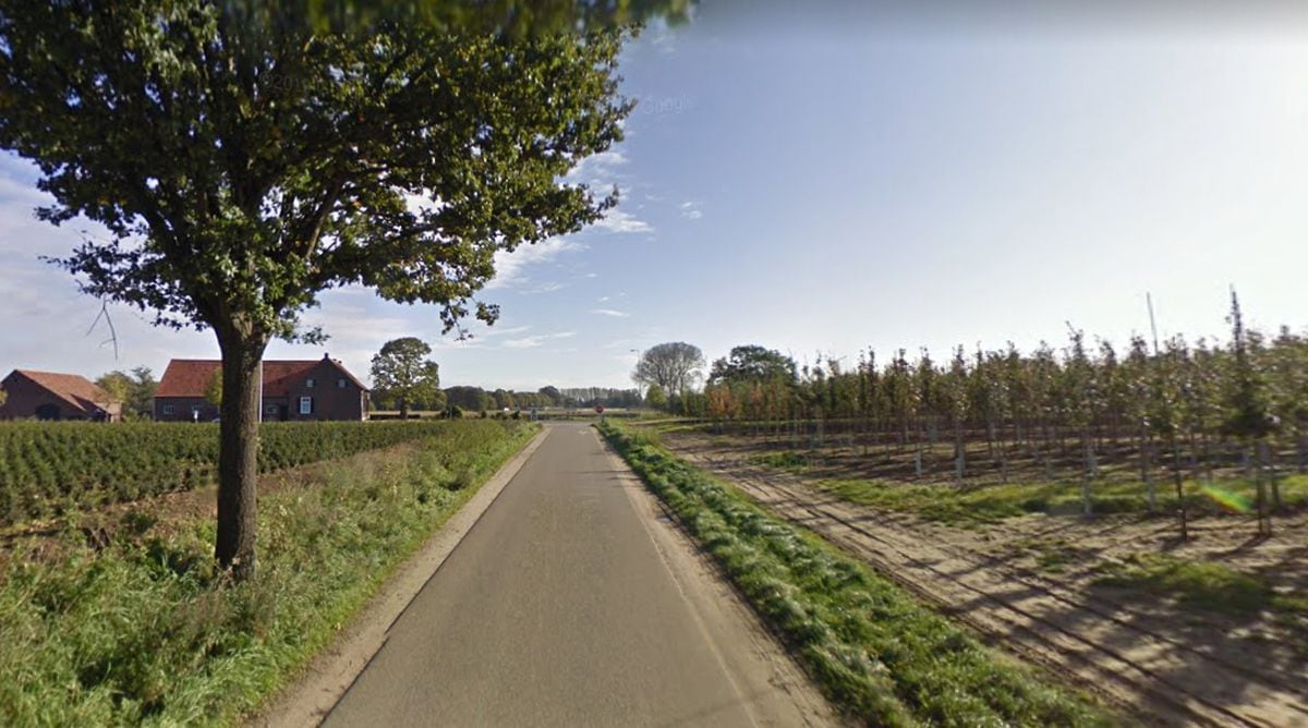 Private Marsh was killed in action somewhere in this general area on the outskirts of the Dutch village of Meerlo. Picture: Google Street View.