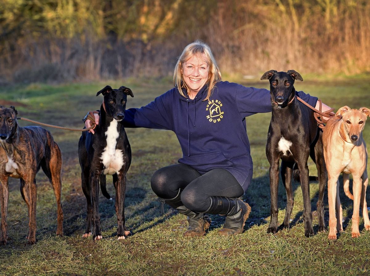 Claire Butler who has set up Home Run Hounds greyhound homing charity in Wombourne
