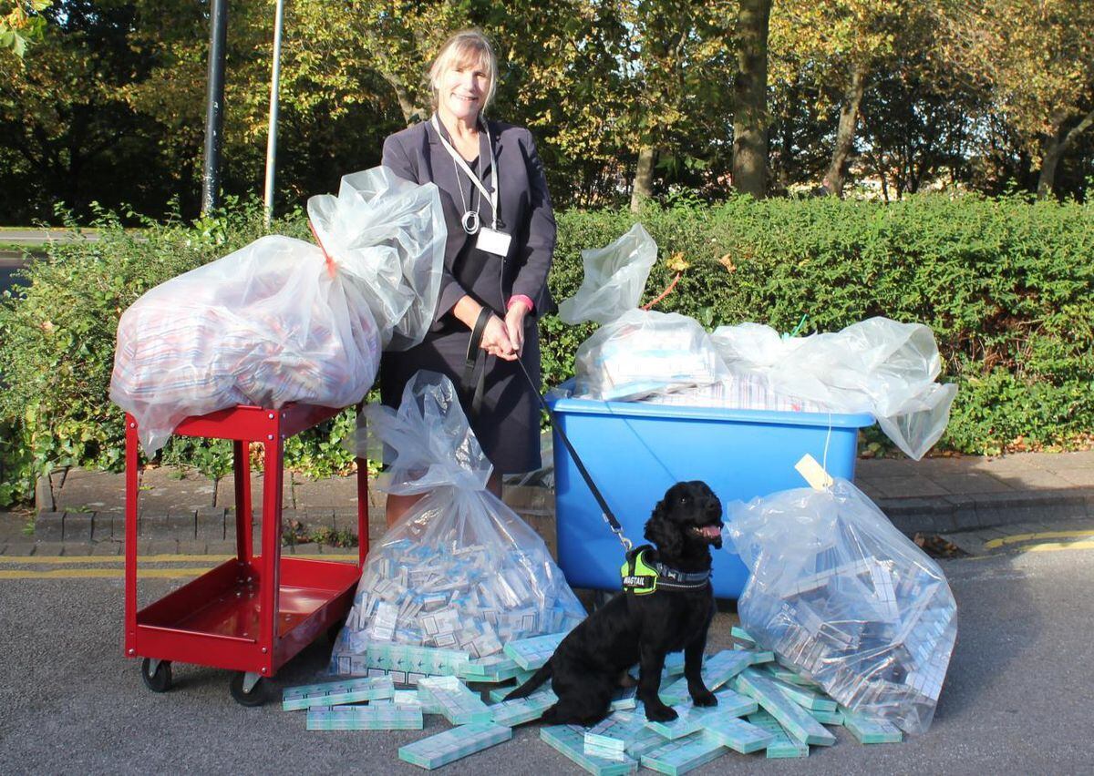 Alice Davey, Sandwell’s director of borough economy, with some of the seized illegal cigarettes and tobacco, and detection dog Cooper from Wagtail UK