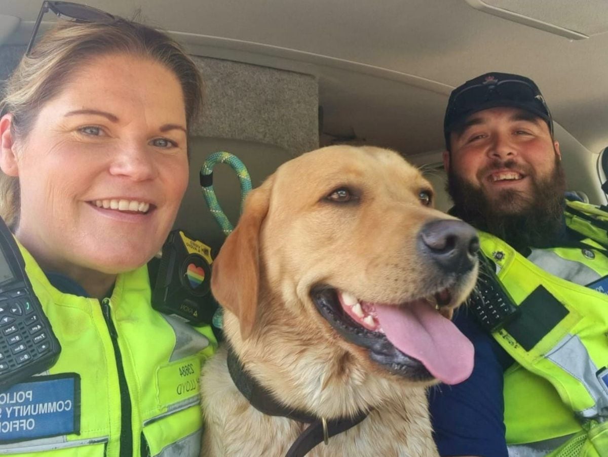Officers helped to reunite Leo with his owners. Photo: Cannock Police