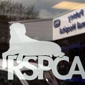 The RSPCA logo, Photo from PA Images/ Sam Dempsey