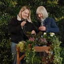 Mother’s Day planting and afternoon tea experiences at Dobbies Garden Centres