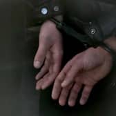 Police made five arrests after executing a drugs warrant in Netherfield on June 23